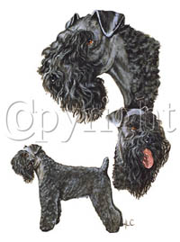 T-shirt i barnstorlek med Kerry Blue Terrier