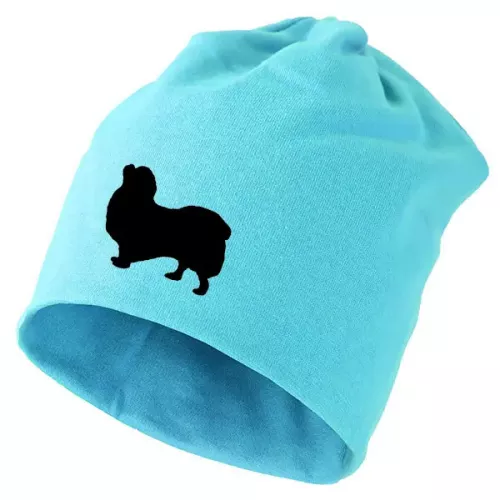 Mössa med Tibetansk Spaniel