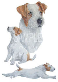 T-shirt i barnstorlek med Jack Russel Terrier