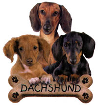 T-shirt i barnstorlek med Tax