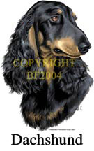 Collegetröja med Tax