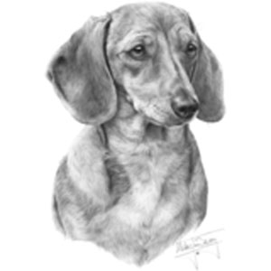 Collegetröja med Tax