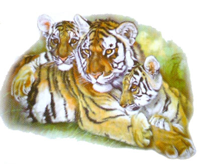 T-shirt med Tigrar
