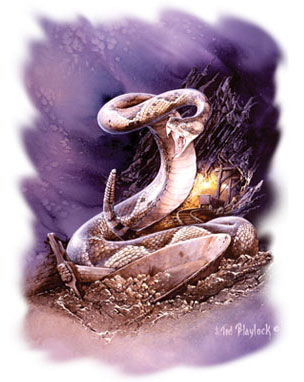 T-shirt med Skallerorm