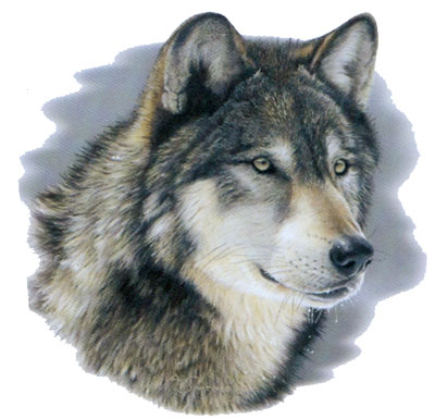 Tygkasse med Vargmotiv