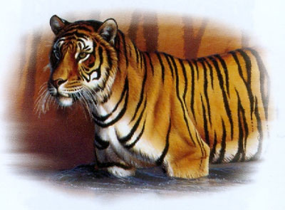 T-shirt med Tiger