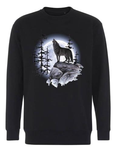 Collegetröja med Varg på klippa