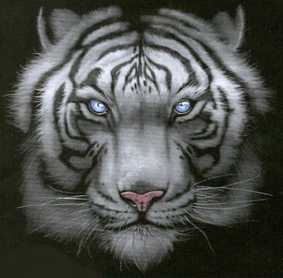 T-shirt med Tigermotiv