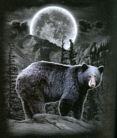 T-shirt med Björnmotiv