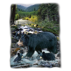 T-shirt i barnstorlek med Björnar