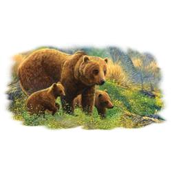T-shirt i barnstorlek med Björnar