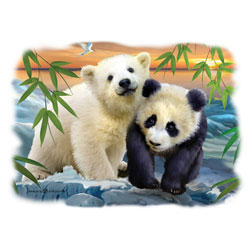 T-shirt i barnstorlek med Björn o Panda