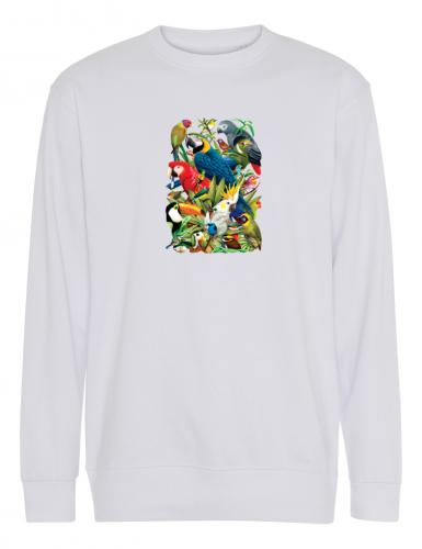 Collegetröja med Papegojor