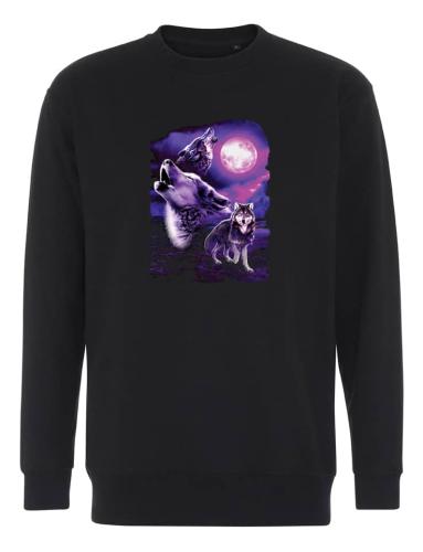 Collegetröja med Vargar mot vacker himmel