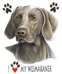Collegetröja med Weimaraner