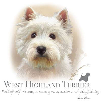 Collegetröja med Westie