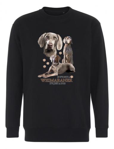 Collegetröja med Weimaraner
