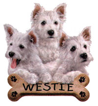 T-shirt i barnstorlek med Westie