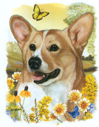 Collegetröja med Welsh Corgi