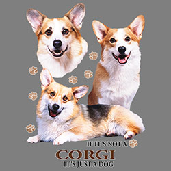 Figursydd t-shirt med Welsh Corgi