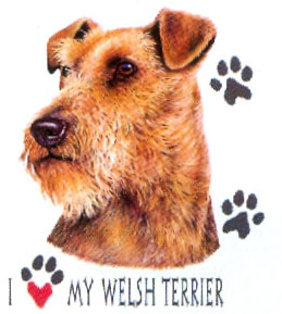 Huvjacka med Welshterrier