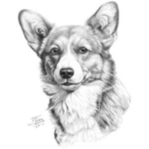 Collegetröja med Welsh Corgi