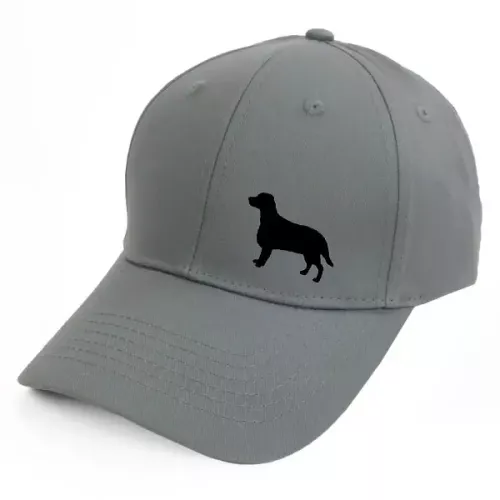 Keps med en Welsh Springer Spaniel