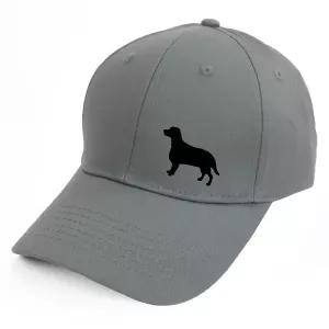 Keps med en Welsh Springer Spaniel