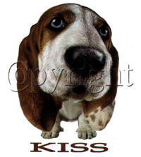 T-shirt i barnstorlek med hundmotiv