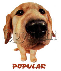 T-shirt i barnstorlek med hundmotiv