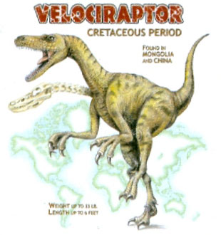 T-shirt med Velociraptor