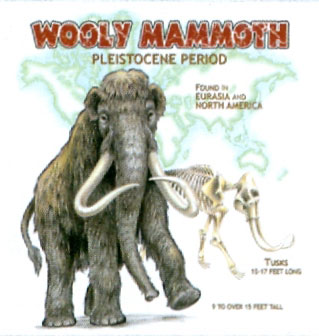 T-shirt med Mammut