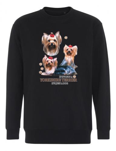 Collegetröja med Yorkshireterrier
