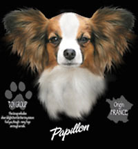 papillon t shirt