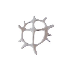 Solhjul silverbrosch