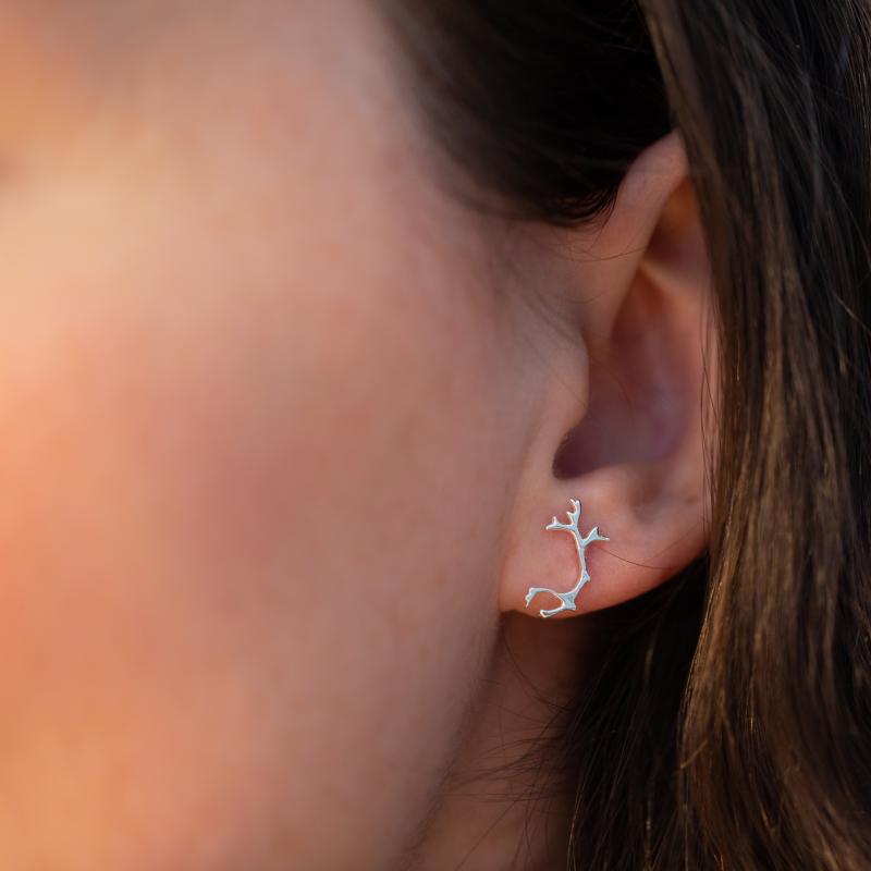 Tjoarvve örhänge (små)