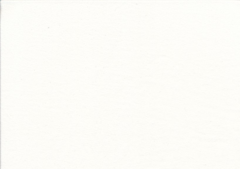 T5000 Solid Jersey Fabric Organic white