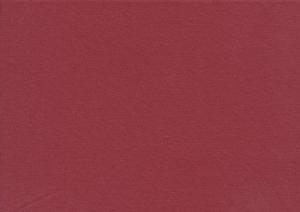 T5000 Solid Jersey Fabric terracotta