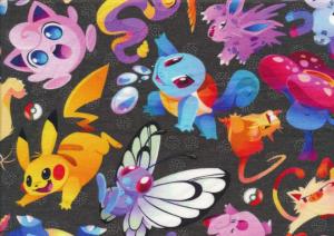 T5761 Sweatshirt Fabric Pokemon