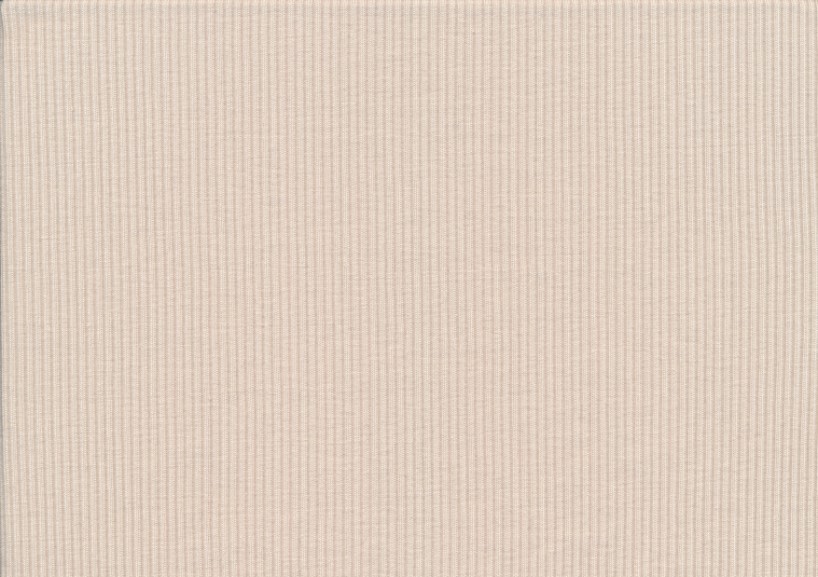 T5738 Rib Jersey Fabric light beige