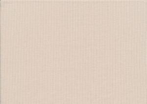 T5738 Rib Jersey Fabric light beige