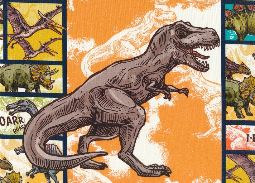 T5398 Joggingtyg Dinosaur i ruta (40 x 50 cm)