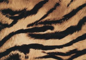 T6380 Viscose Jersey Fabric Tiger brown