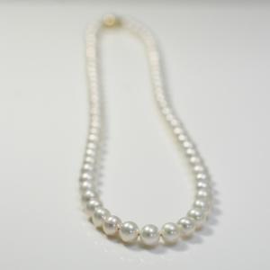 White Pearls Necklace
