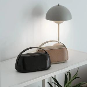 MiiLounge Mini Högtalare