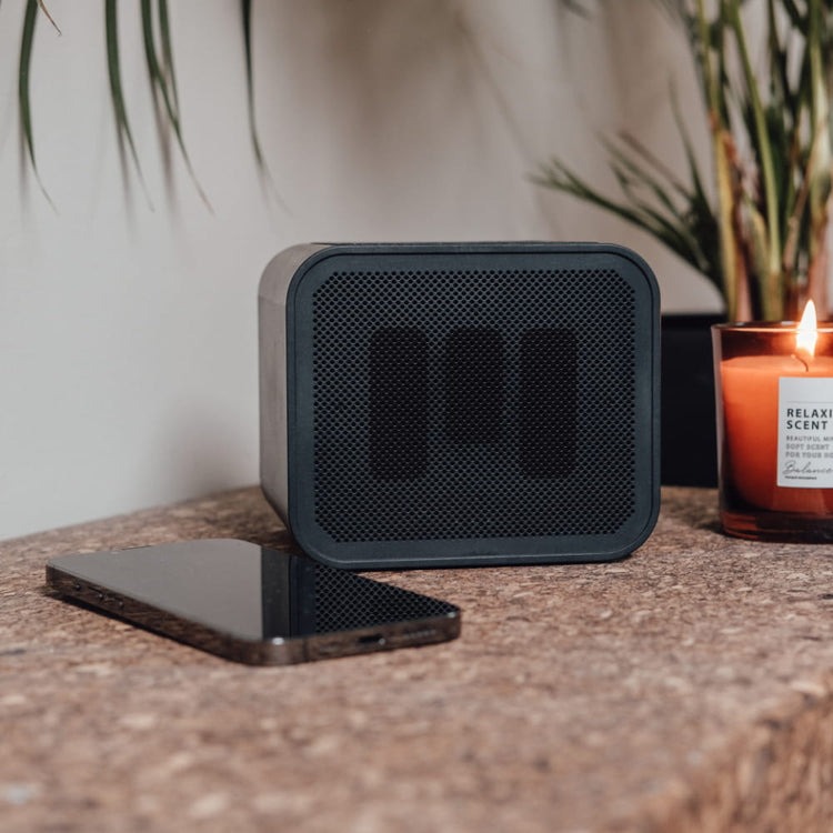 Charge & Play Högtalare