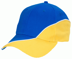 Vasa Keps