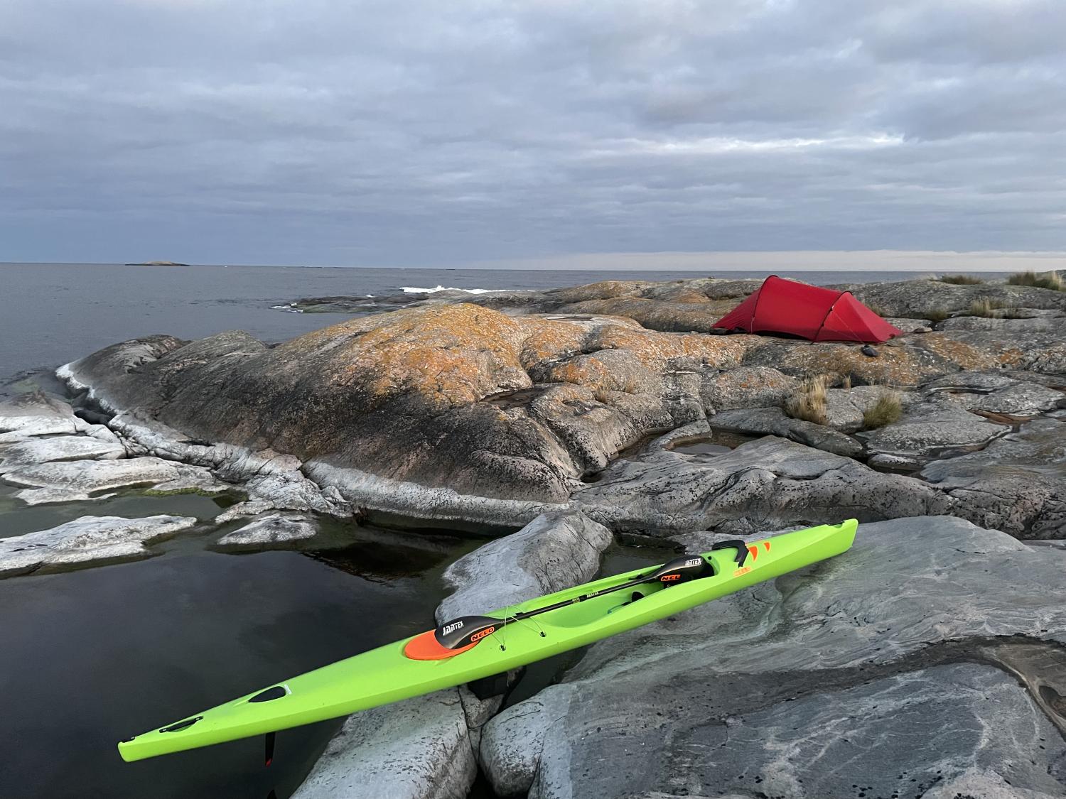 Nelo 510