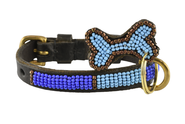 Blue online puppy collar