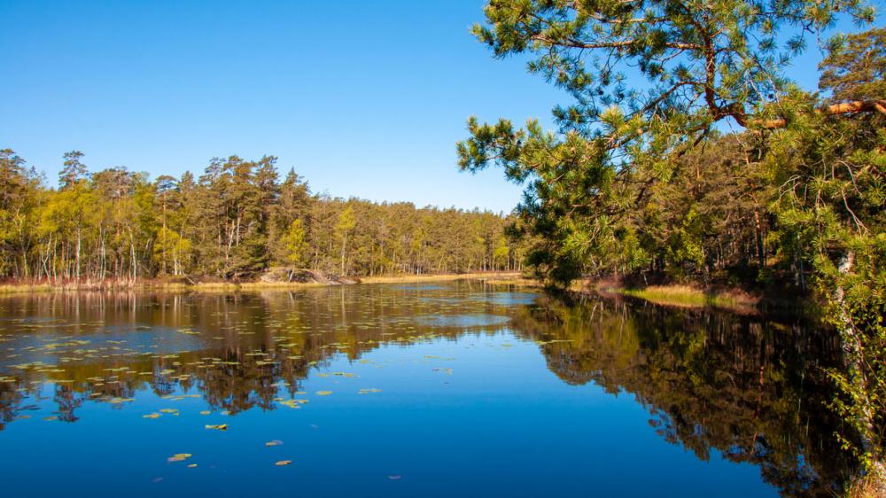 Krokträsken är två små sjöar längs med Boo-leden